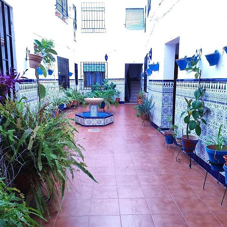 La Casa Del Patio En Pleno San Lorenzo コルドバ エクステリア 写真